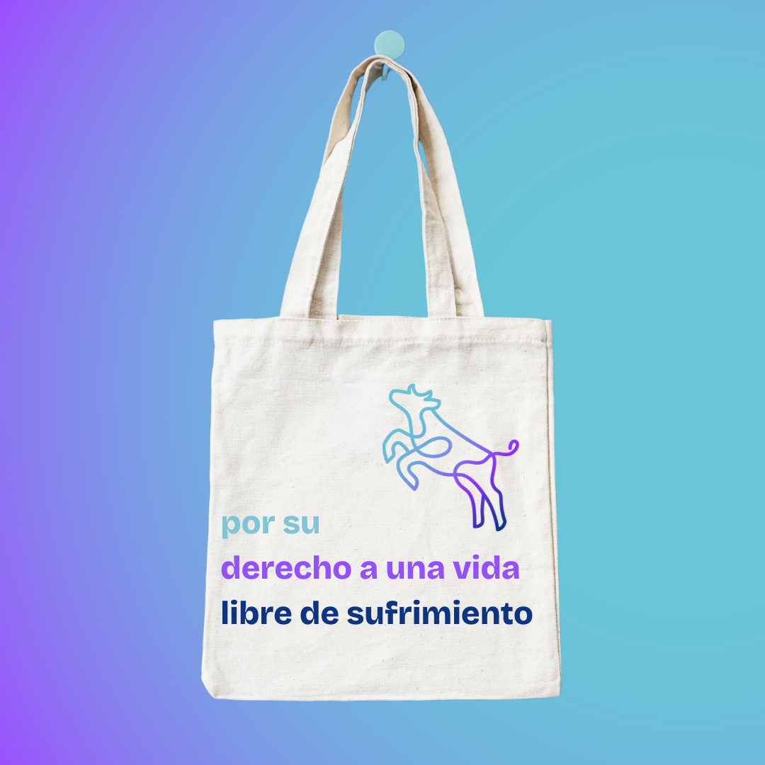 White and Blue Single Object Canvas Tote Bag Mockup Instagram Post (1).png