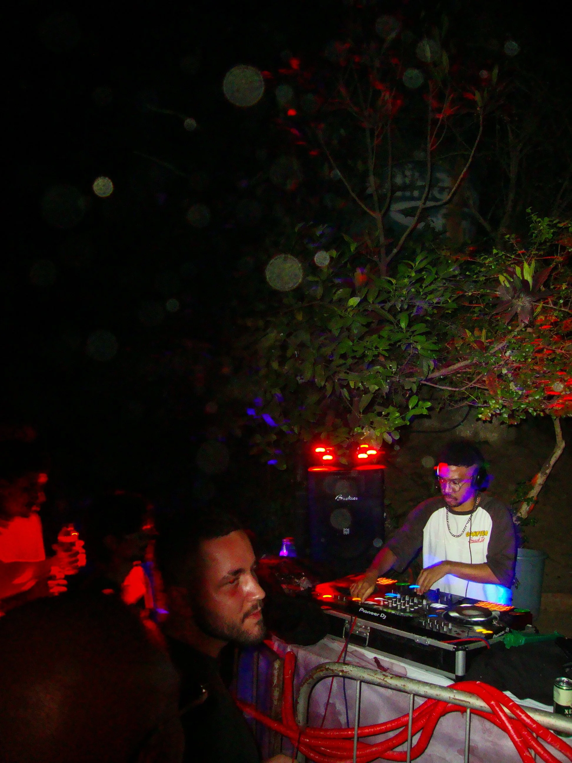 DSC02017.jpg