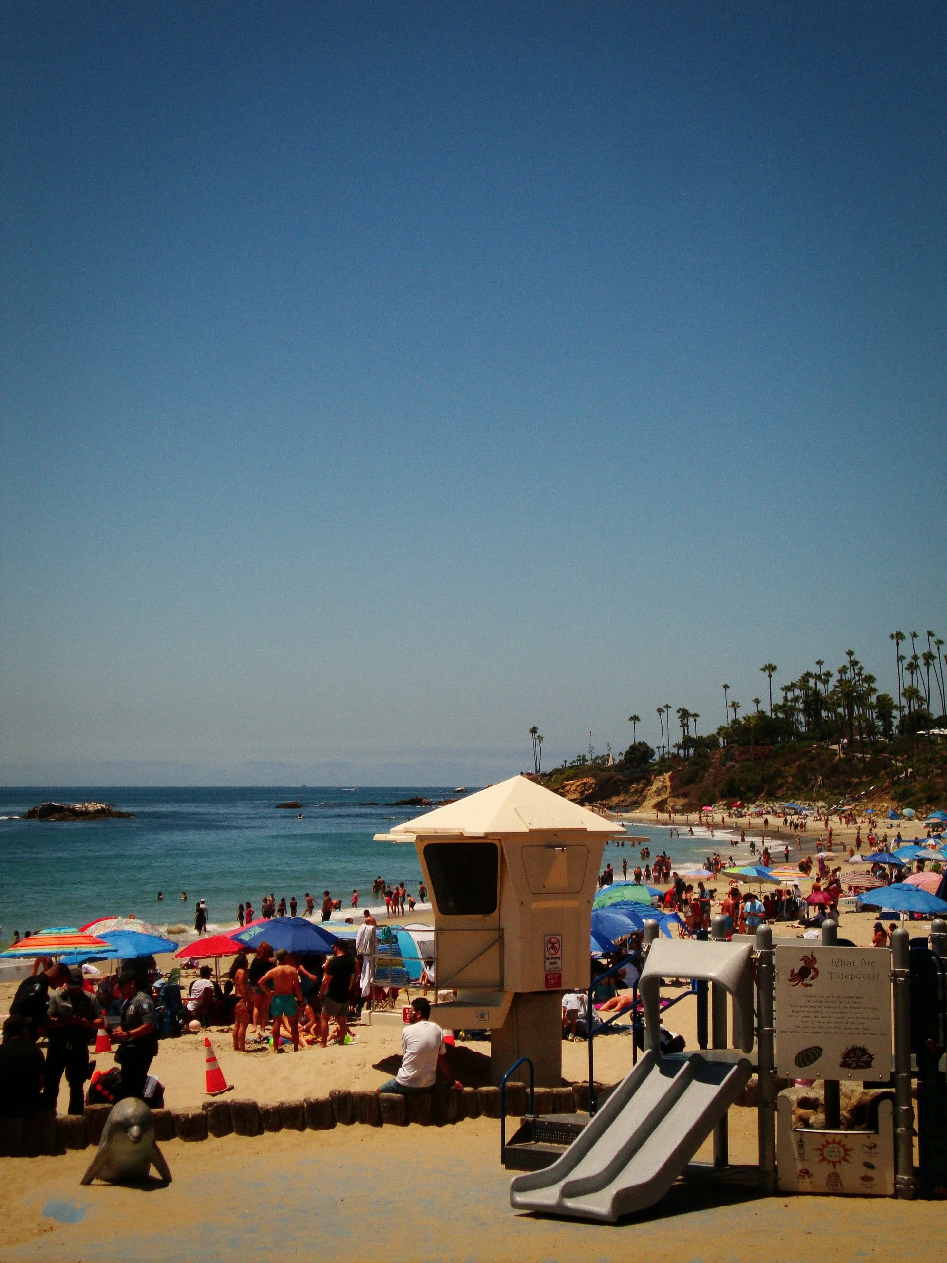 DSC05126.jpg