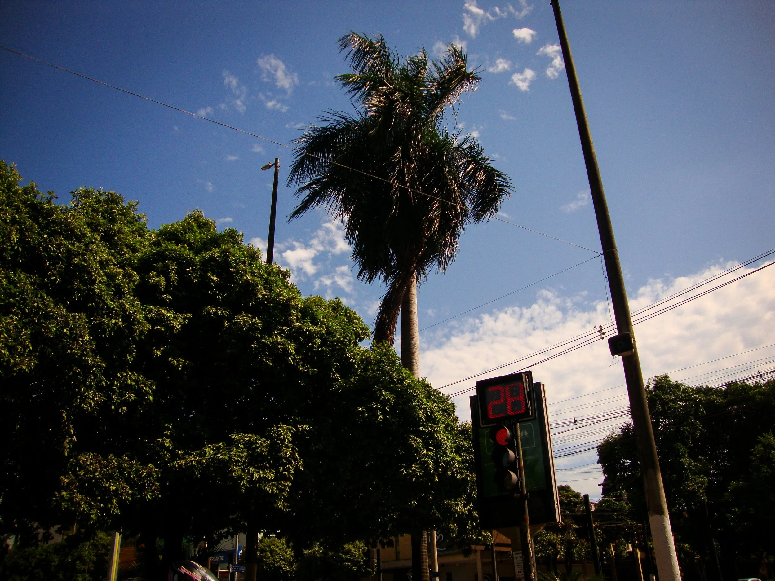 DSC01947.jpg