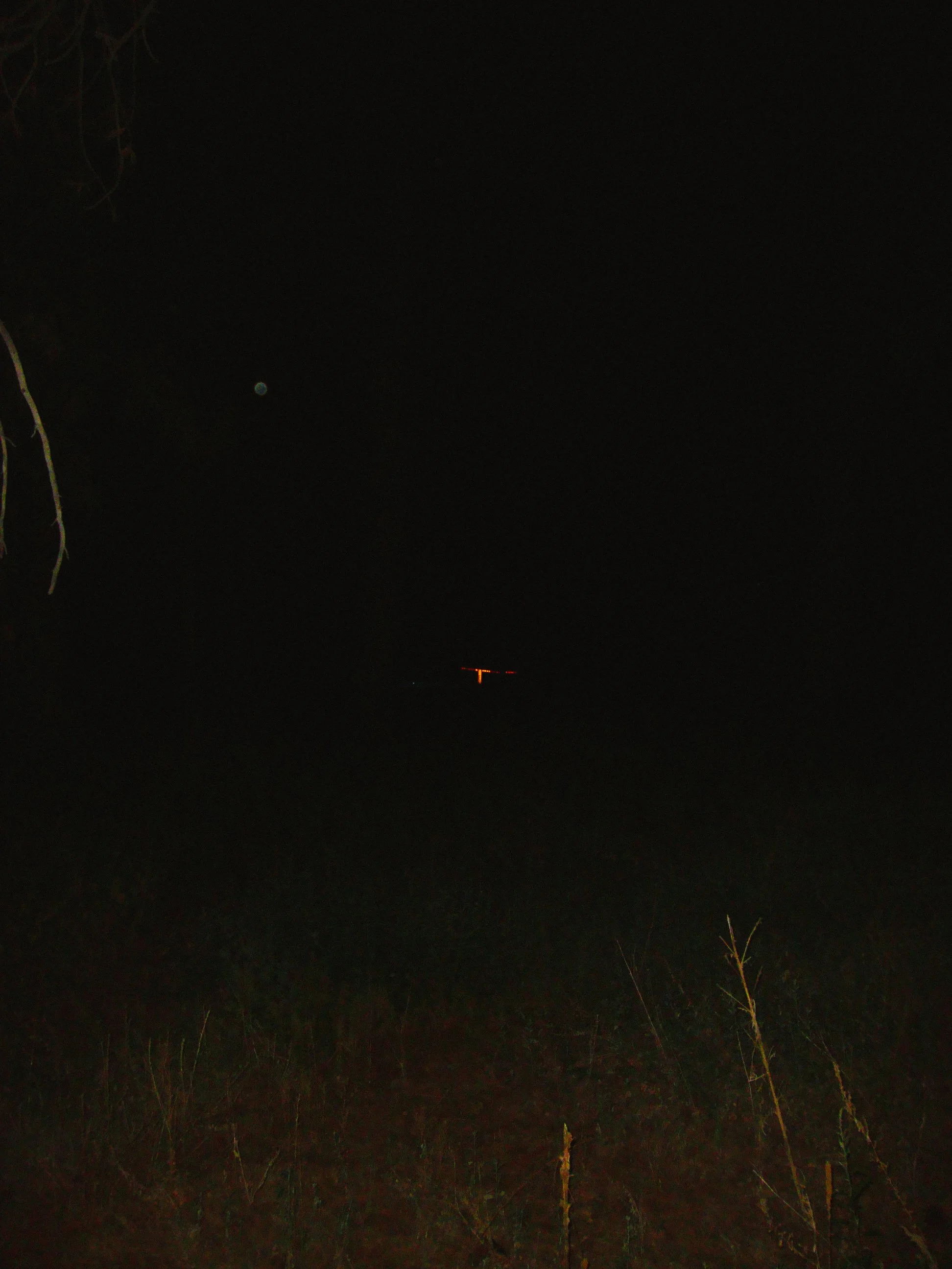 DSC05286.jpg