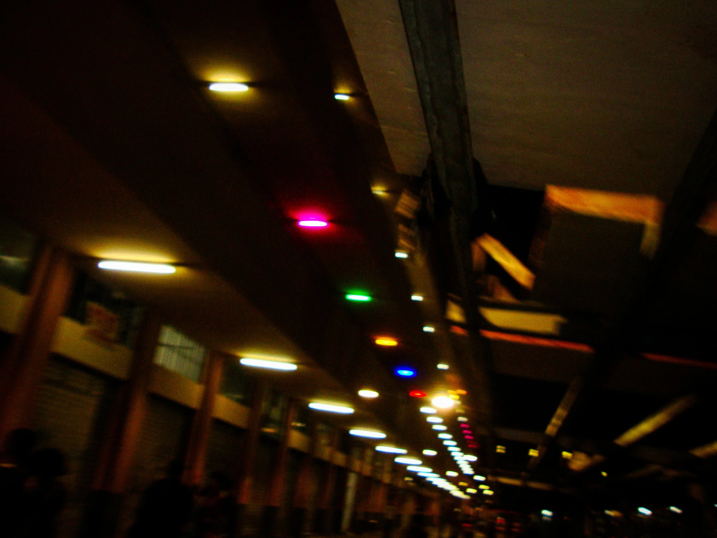 DSC01924.jpg
