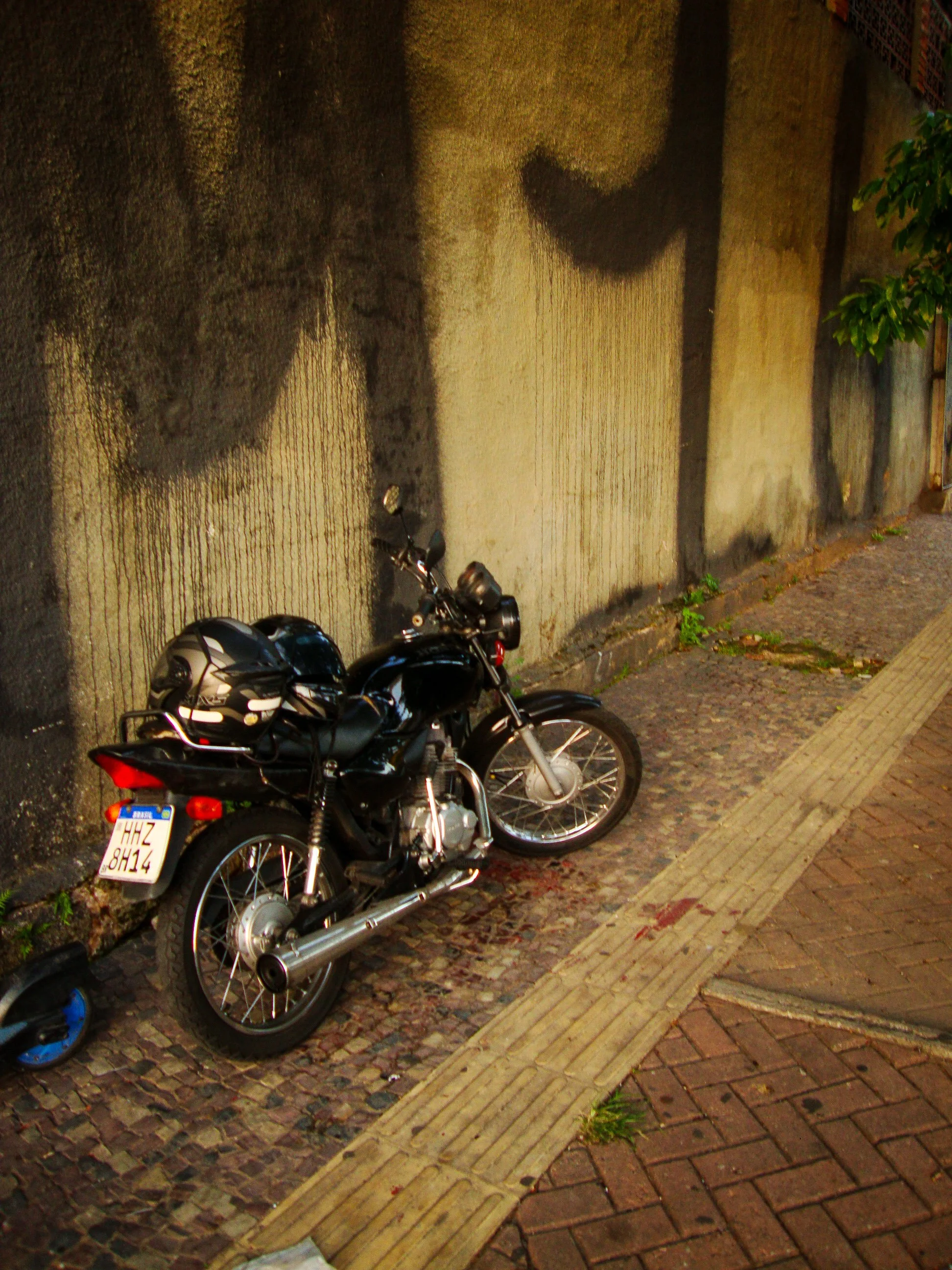 DSC01877 (1).jpg