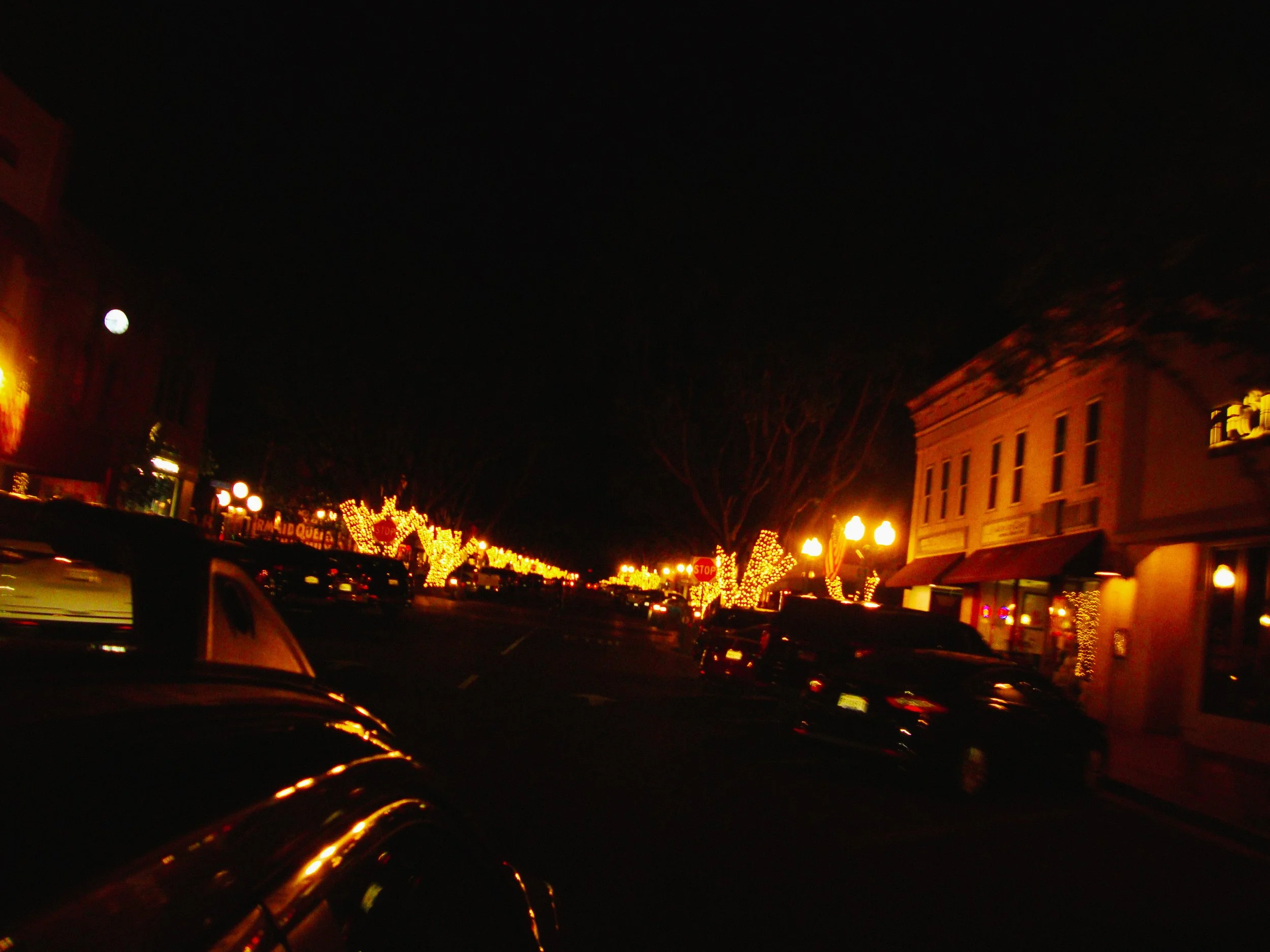 DSC05239.jpg