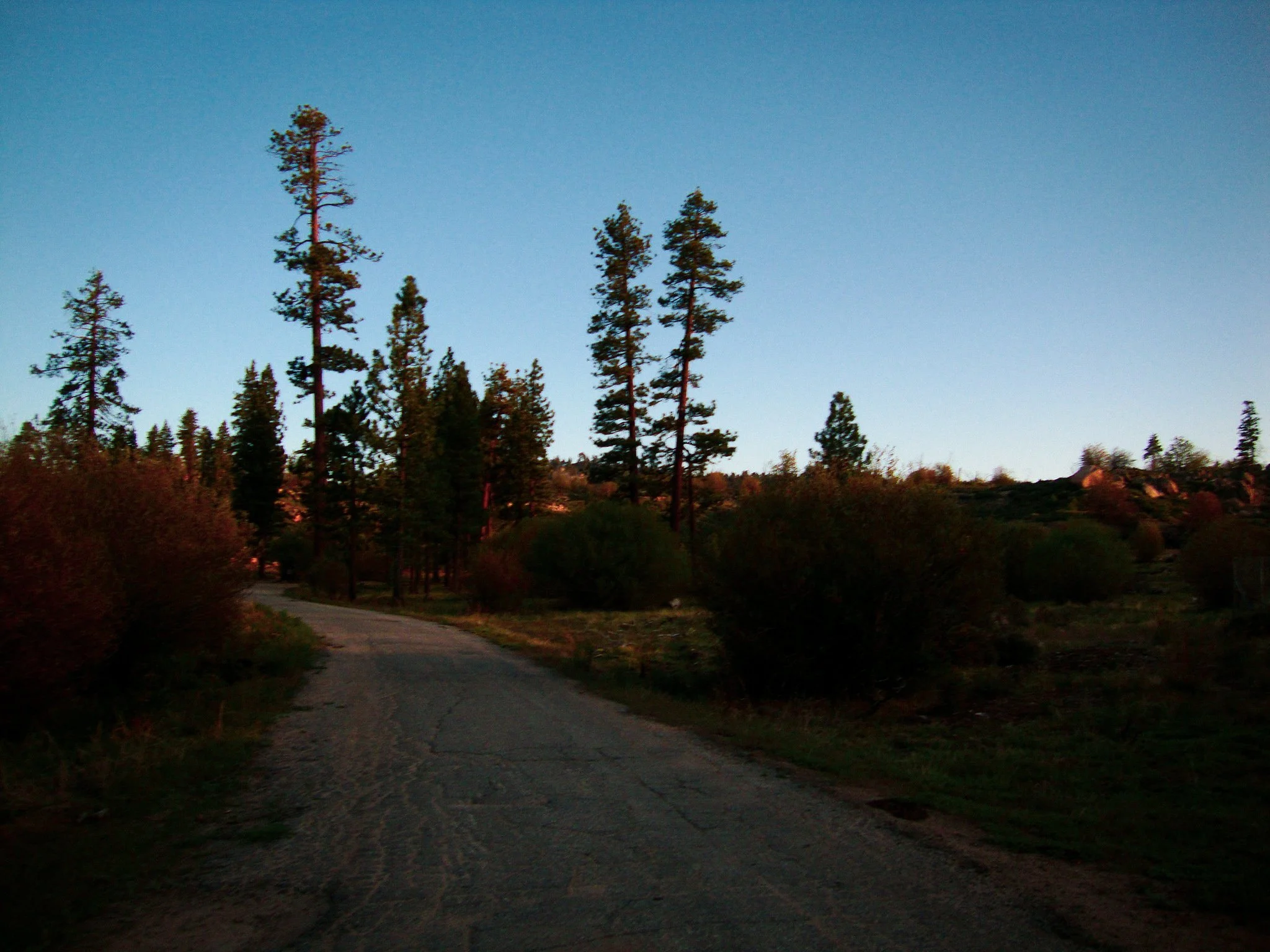 DSC04823.jpg