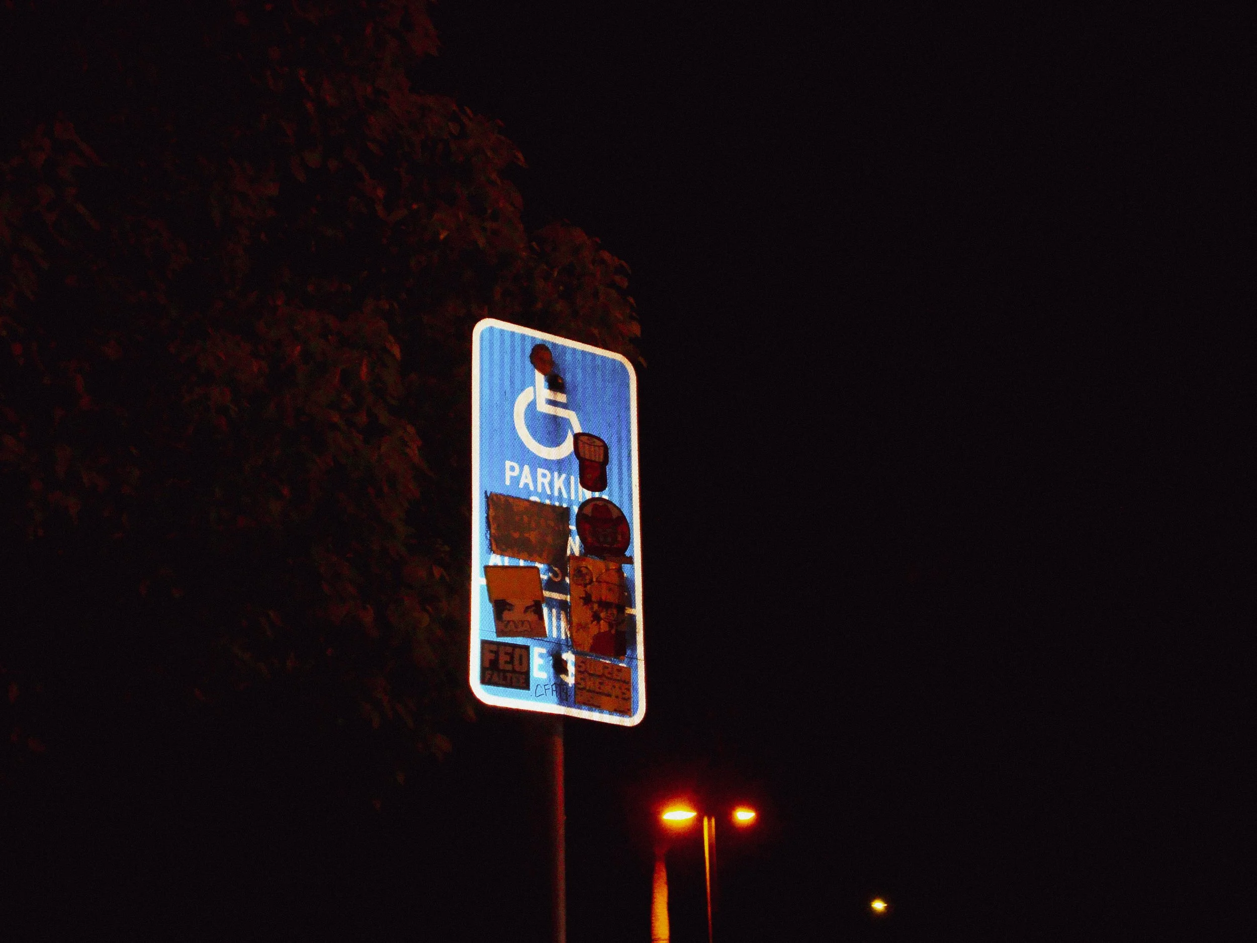DSC05237.jpg