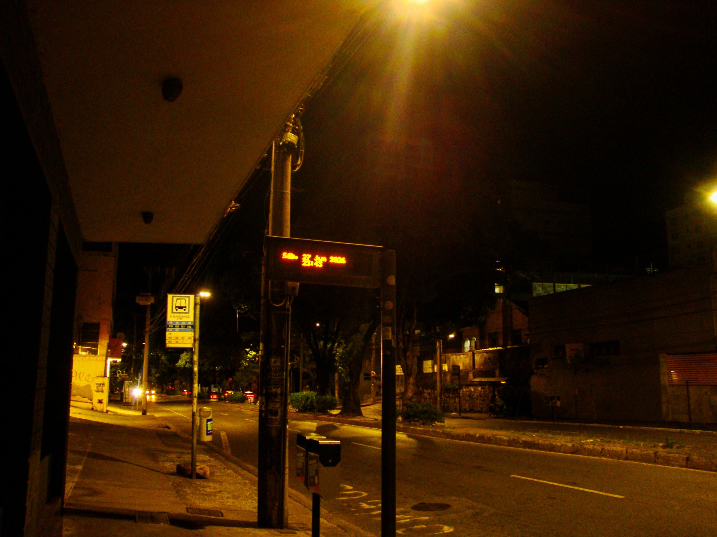 DSC01250.jpg