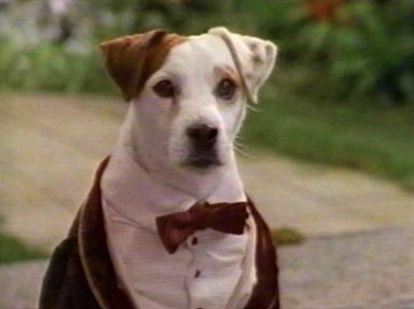 Screenshot 2026-04-18 091359.png