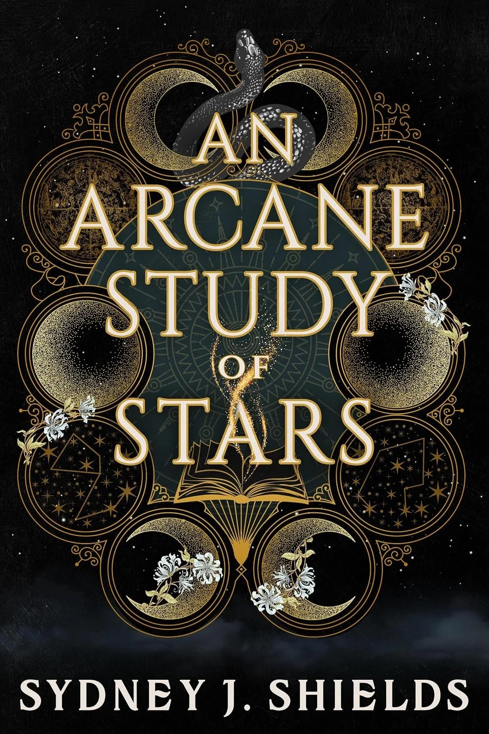 An Arcane Study of Stars by Sydney J. Shields (Paperback)