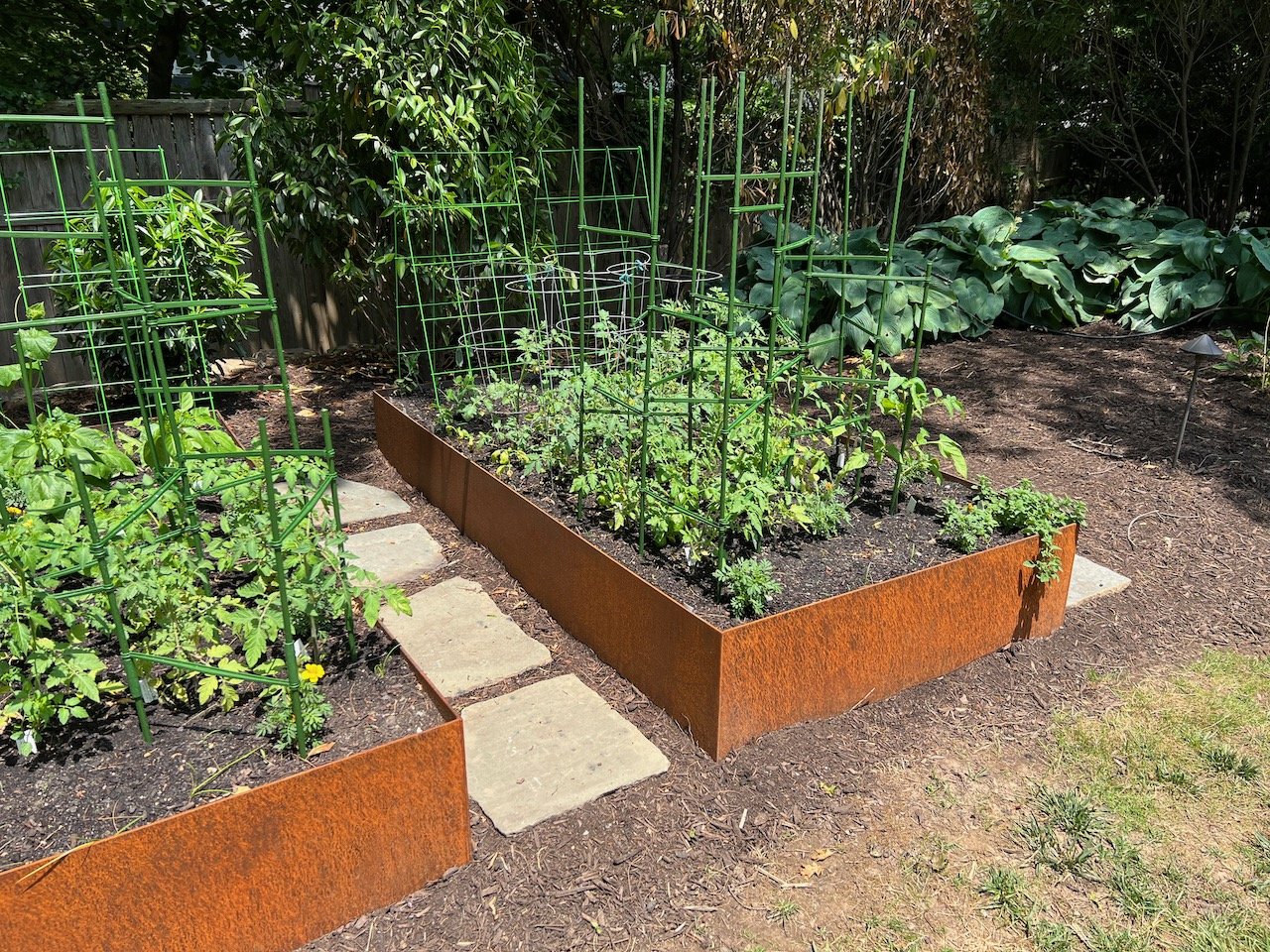 Cor-ten raised beds
