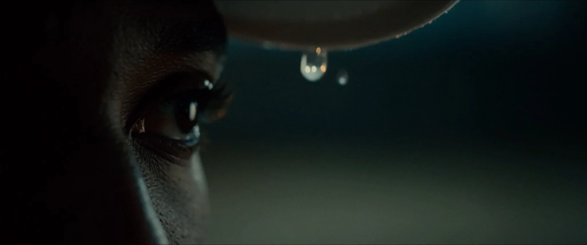 THE WAY OF THE COURT217.jpg