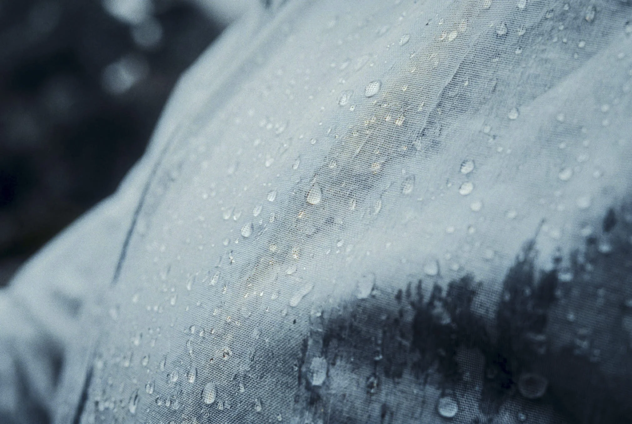 6h_00015.jpg