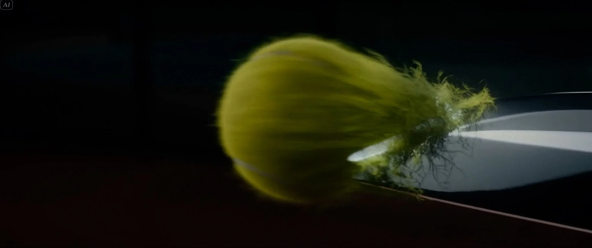 THE WAY OF THE COURT169.jpg