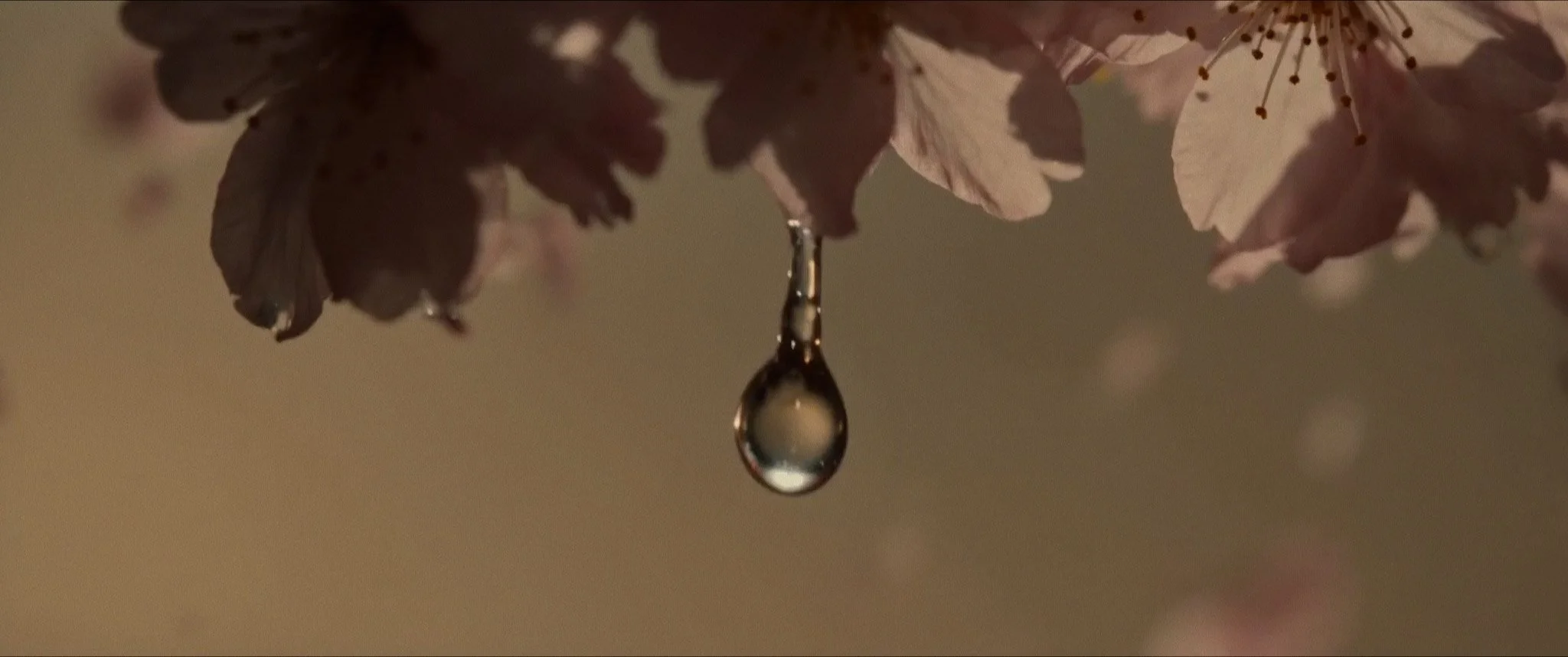 THE WAY OF THE COURT316.jpg