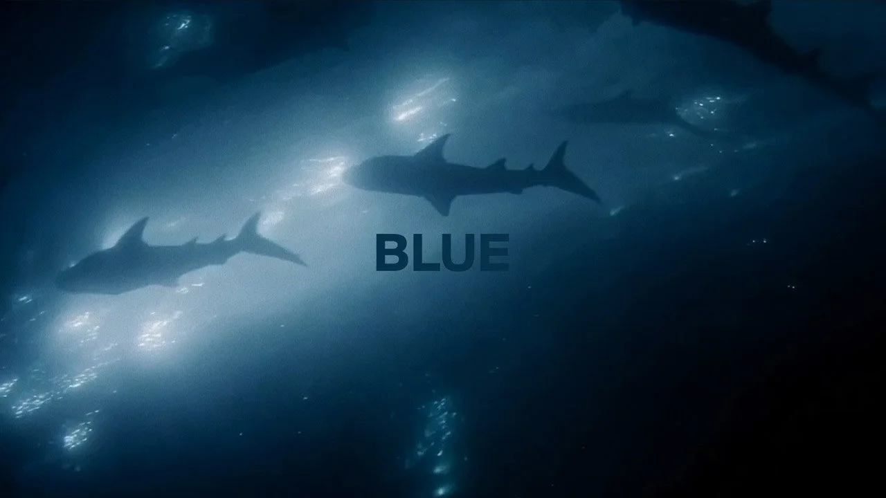 blue_thumb.jpg