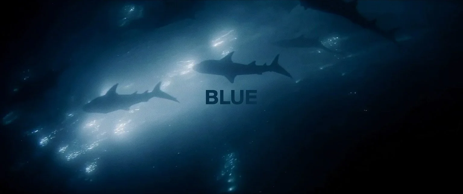blue_thumb_vimeo.jpg