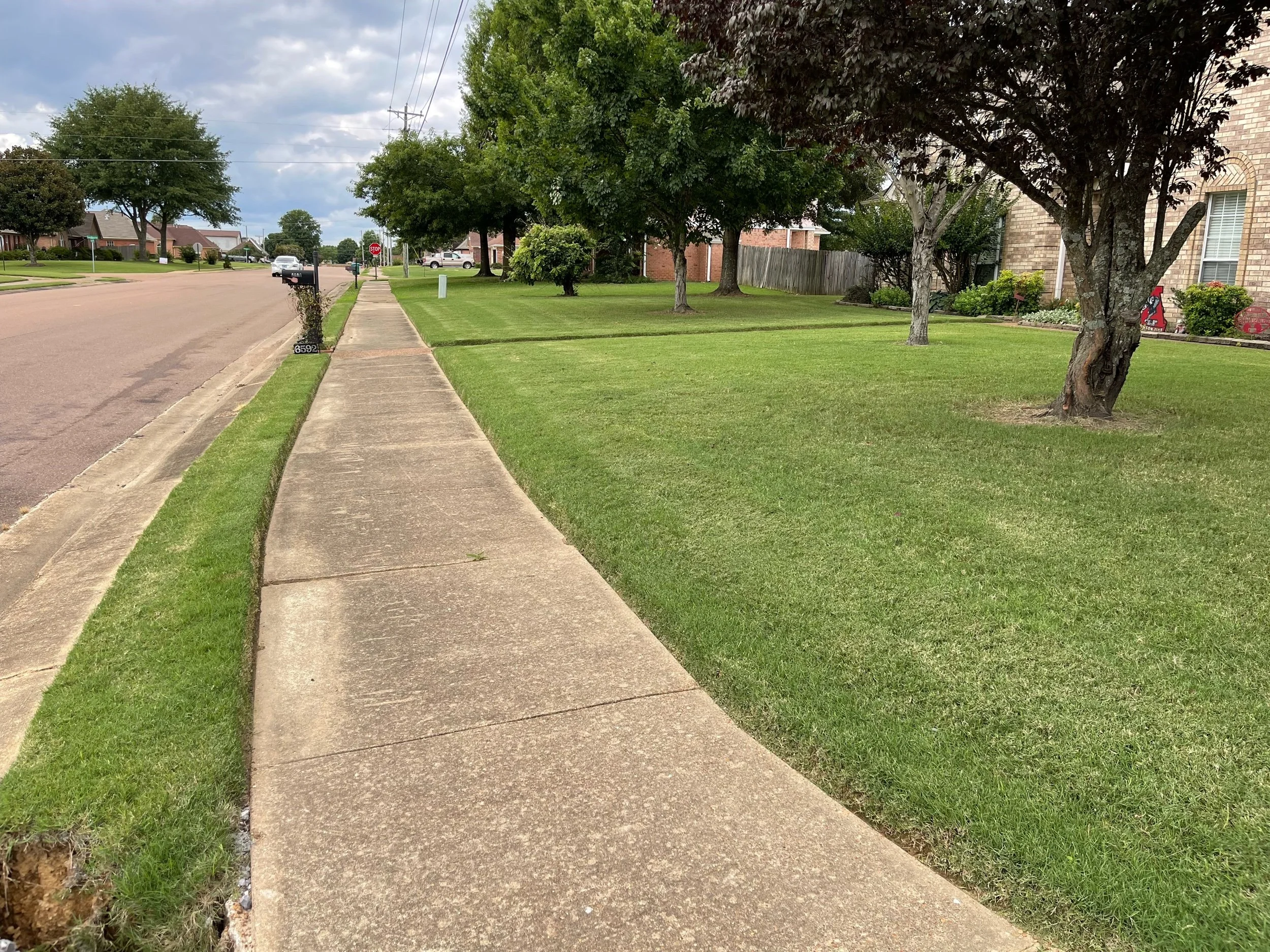 Residential neighborhood sidewalk with grass and trees on the right side, houses and parked cars on the left side, cloudy sky overhead.