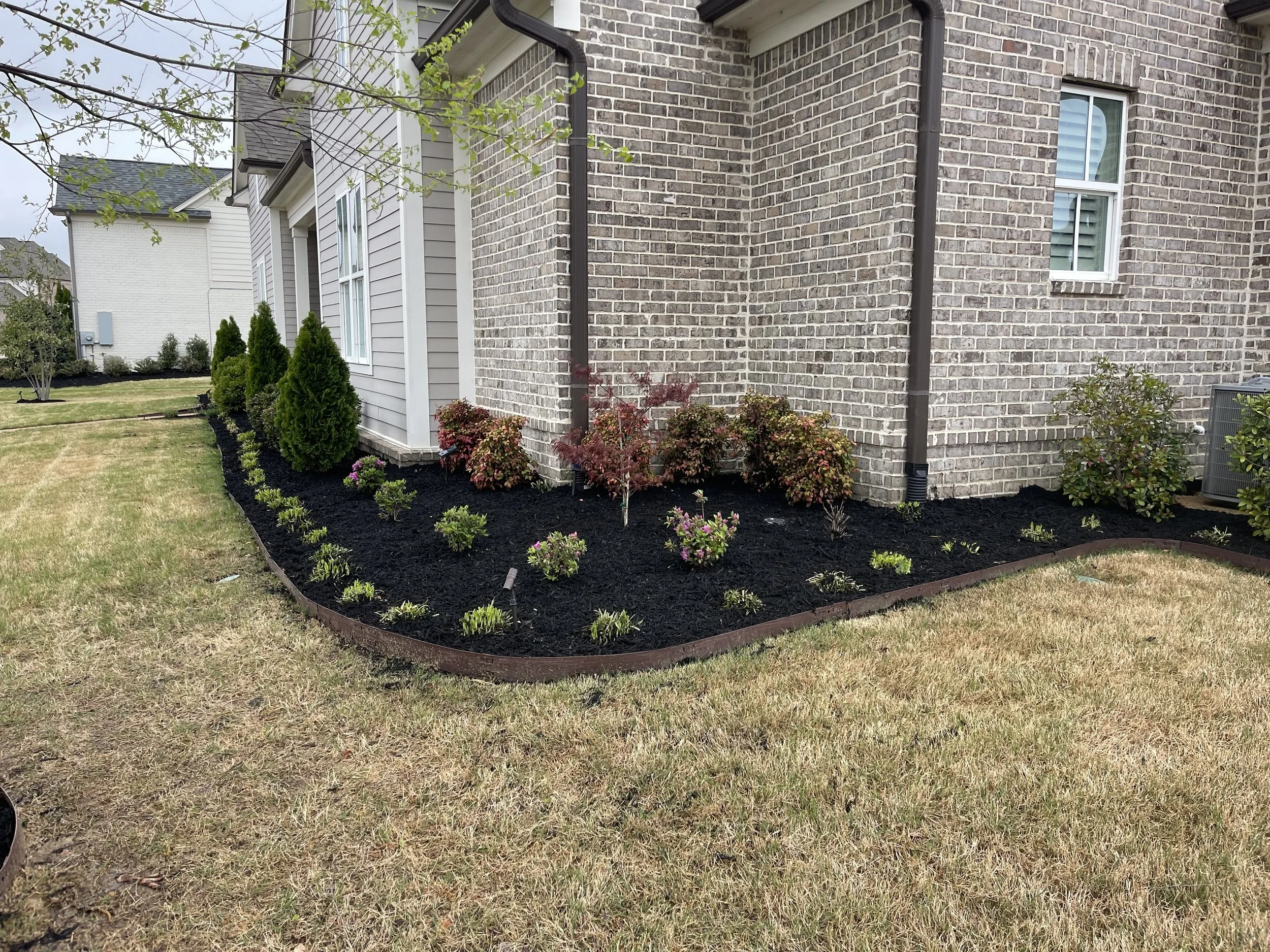 A landscaped yard with young shrubs and bushes planted along the base of a brick house, with a curved border and mulch mulch between the plants and a grassy lawn in the foreground.