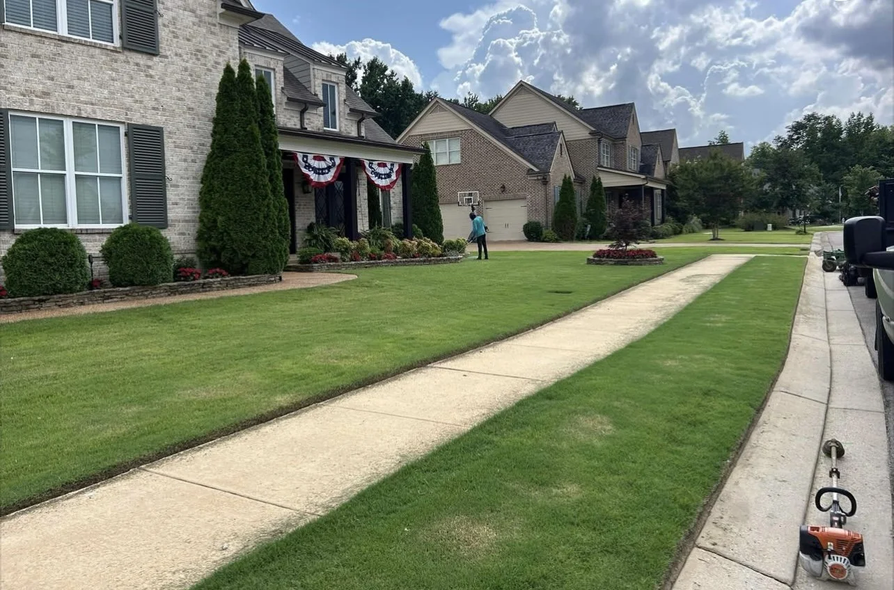 A suburban neighborhood with well-manicured lawns and brick houses. A person is walking on the sidewalk, and holiday bunting decorates the front porch of a house.