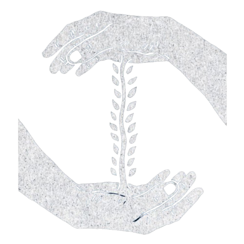 Hands supporting a growing plant — representing integration, growth, and psychedelic mentorship for therapists and practitioners.