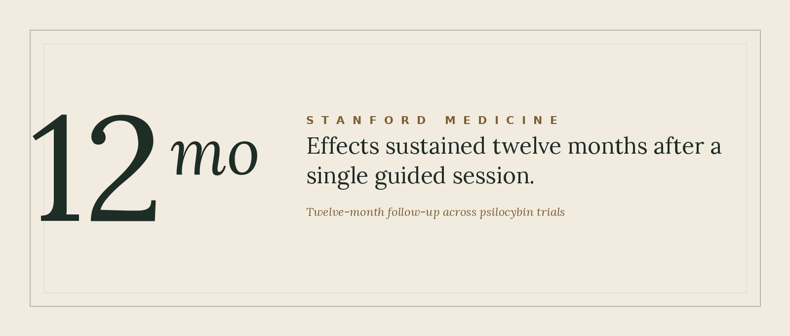 Stanford Medicine psilocybin research graphic showing that effects were sustained twelve months after a single guided session, relevant to psilocybin therapy and mushroom ceremony work in NYC.