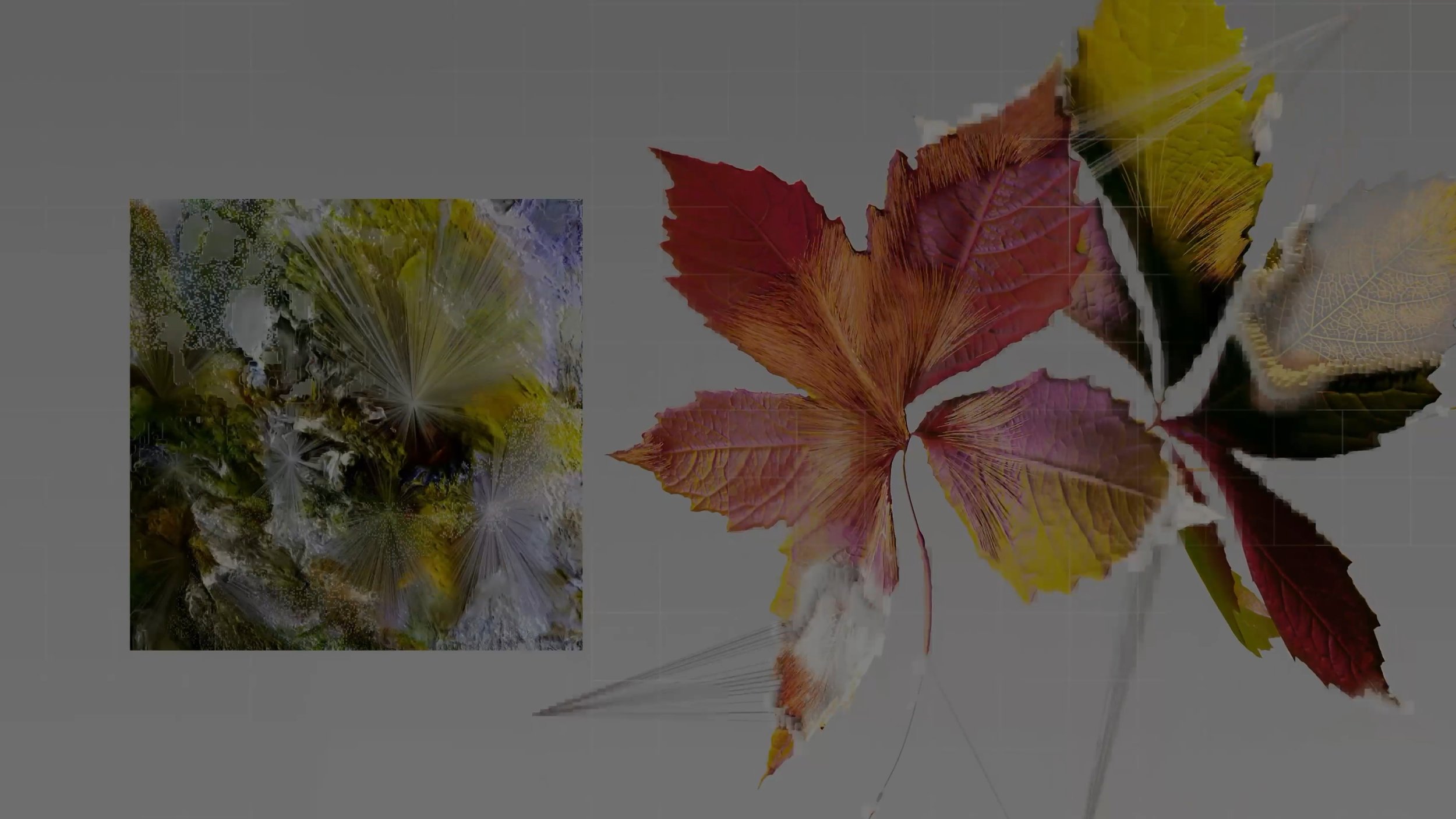 The Gift of Discomfort-TGOD-Retreat No- 03-Oliver Rothauser-Fall Retreat 2025-Website-Fall Retreat Promo Video 1-Still.jpg