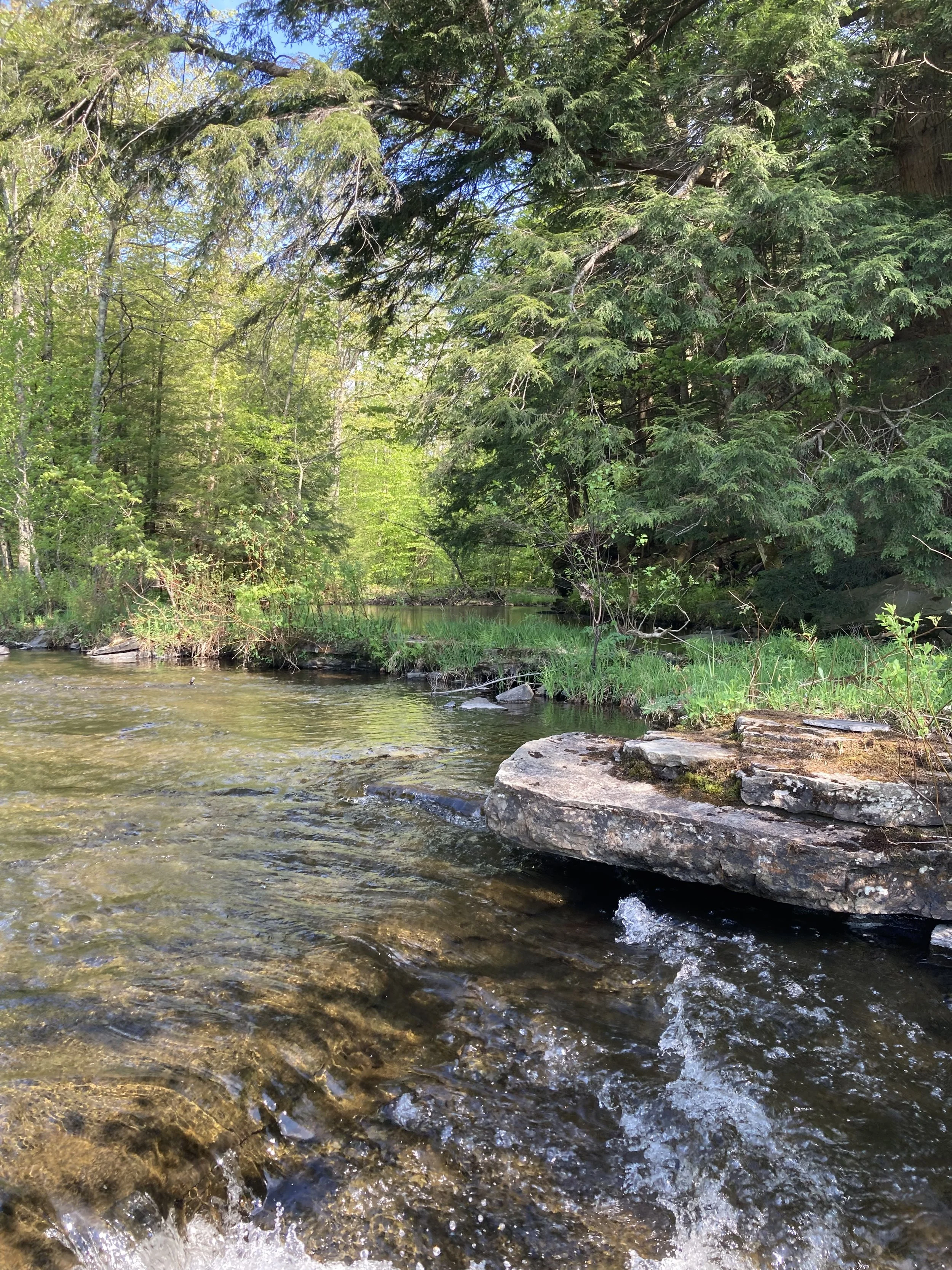 Springing Forward into New Habits for Your Overall Wellbeing  