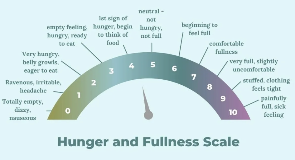 Honoring Hunger Cues in Eating Disorder Recovery