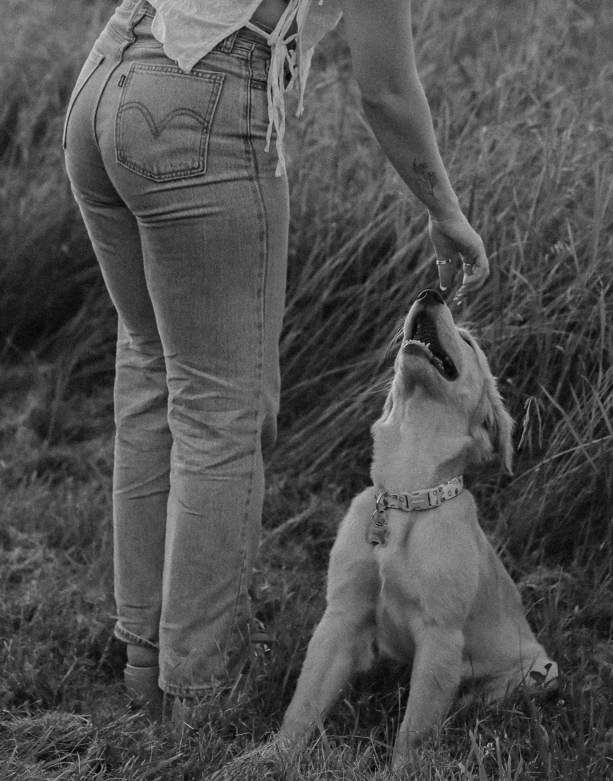 A person in jeans and a shirt with laces, standing outdoors in grass, with a Labrador retriever puppy sitting in front, looking up and smiling.