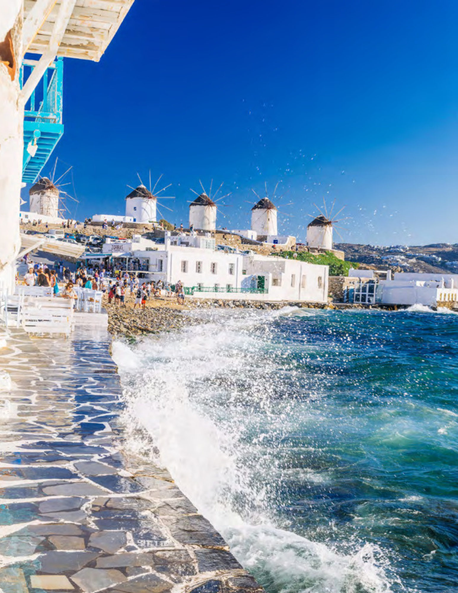 2025 PPB Auction Catalog - Working Doc.png