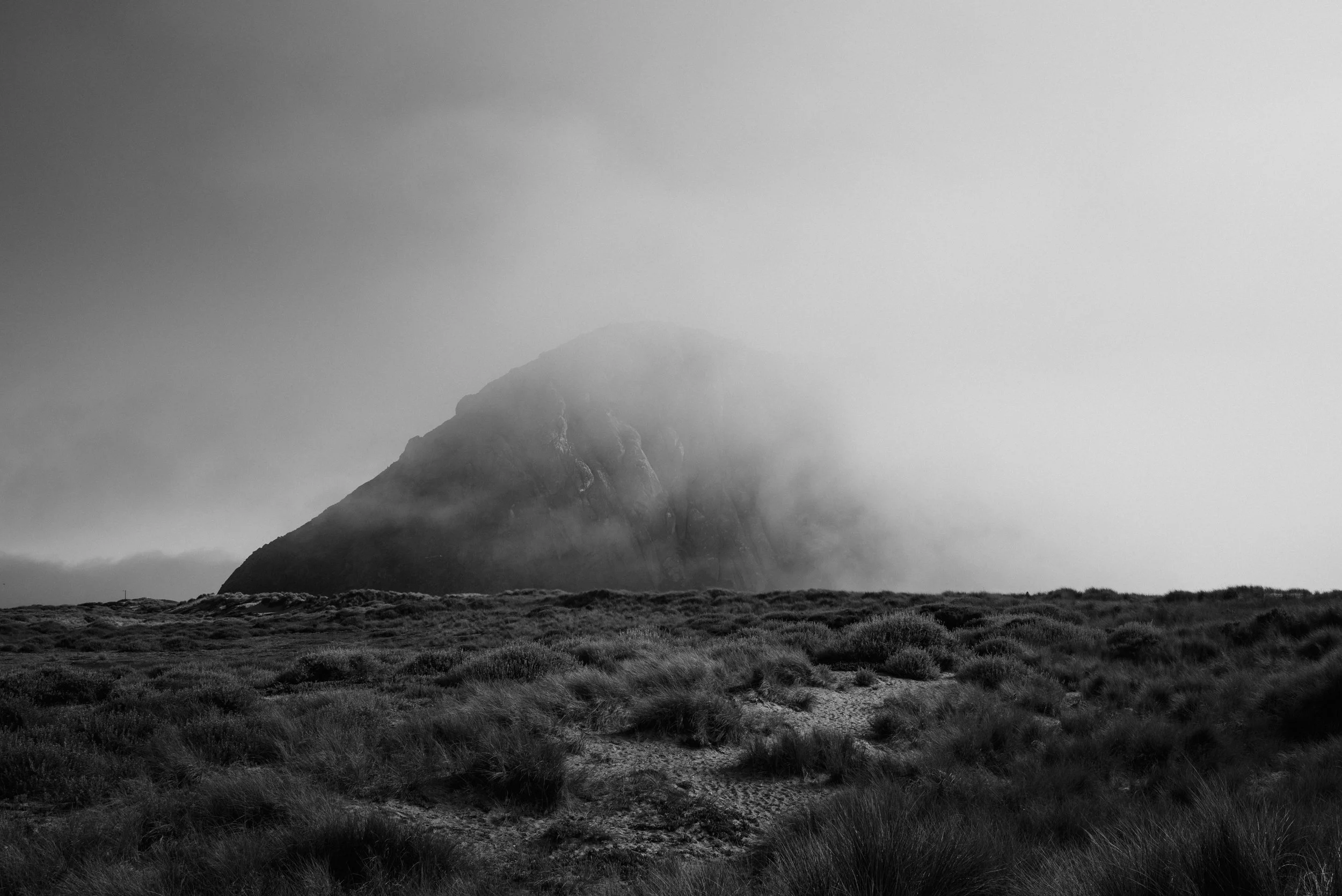 L1000771.jpg