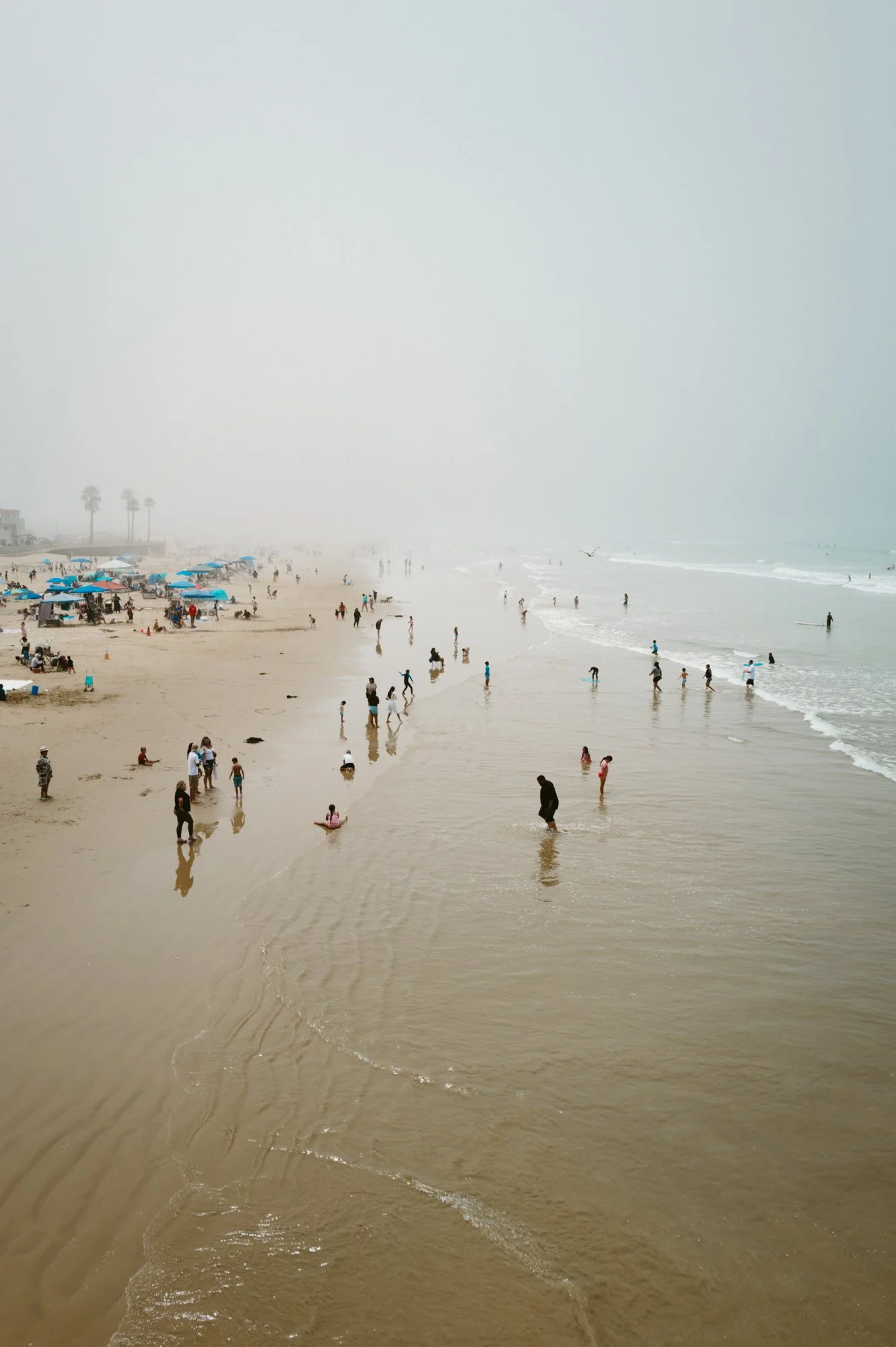 L1000574.jpg