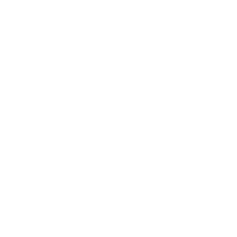 Vera Iconica Architecture