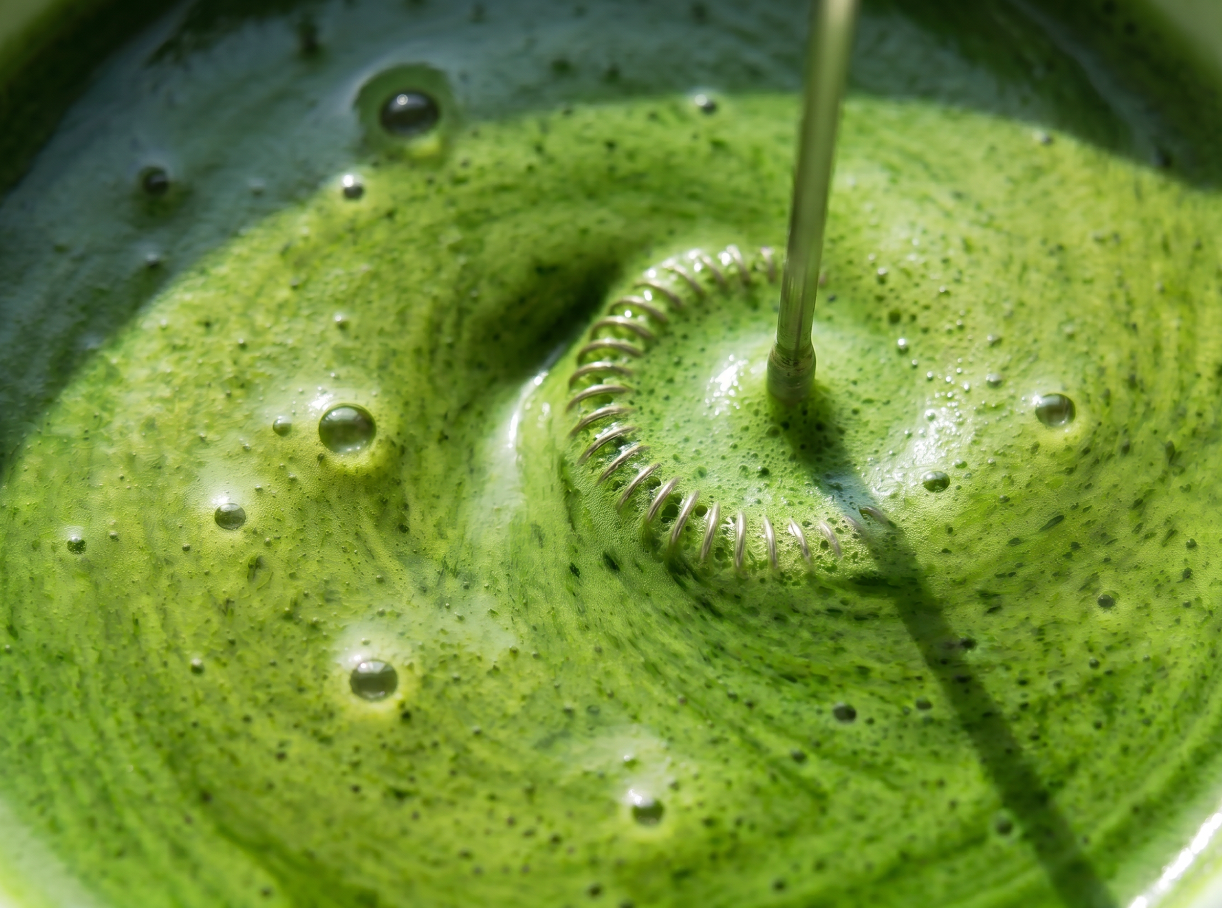 Pukka_Matcha-Texture_Silky_C.png