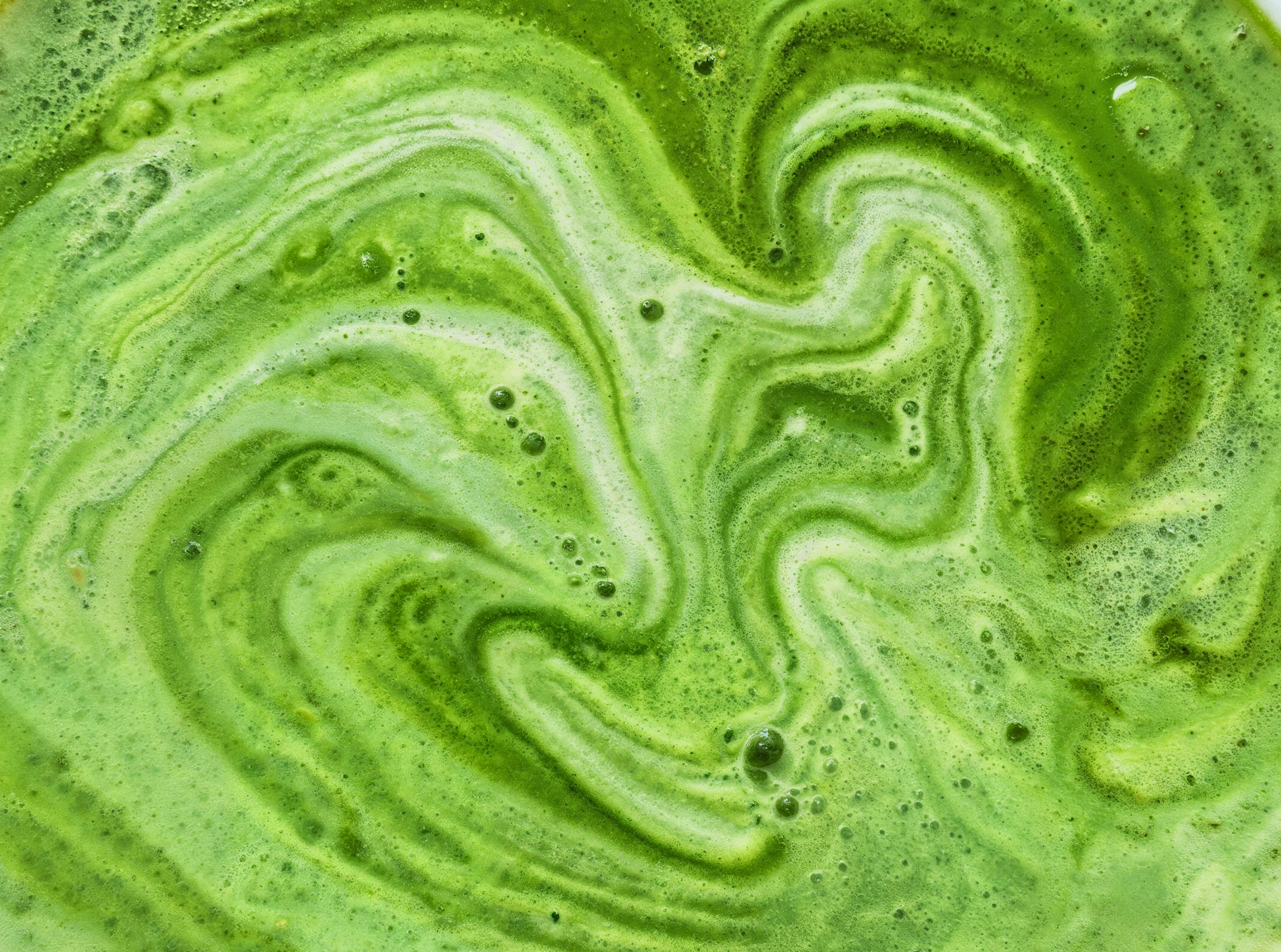 Pukka_Matcha-Texture_Silky_B.png
