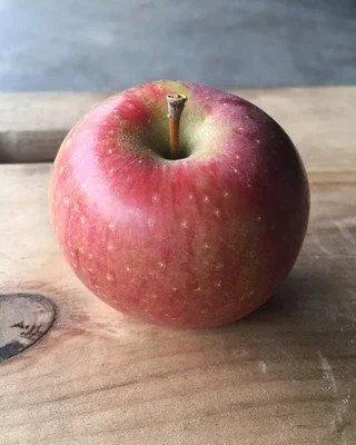 Imagine how fantastic an apple must be to get the name &quot;Seek-No-Further.&quot; In the 1790s, the people of Westfield, Massachusetts originated this apple and decided that was it... perfection ✨ But if you think they may have been biased, even @s