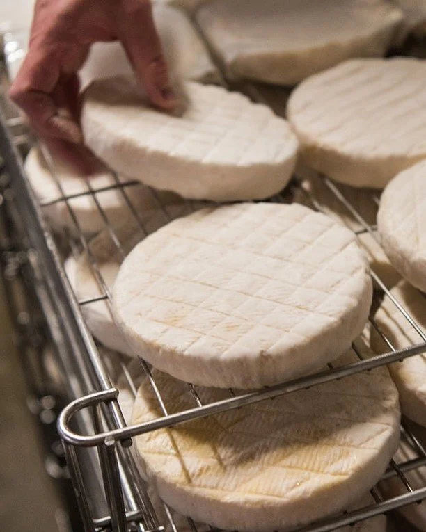 New vendors alert! 📣🧀 @vontrappfarmstead and @champlainvalleycreamery organic cheeses have hit the list! Caroline's pick: &quot;Oma is a classic and we love it.&quot; Named after Sebastian's grandmother, Erika Von Trapp, Oma was the main force behi