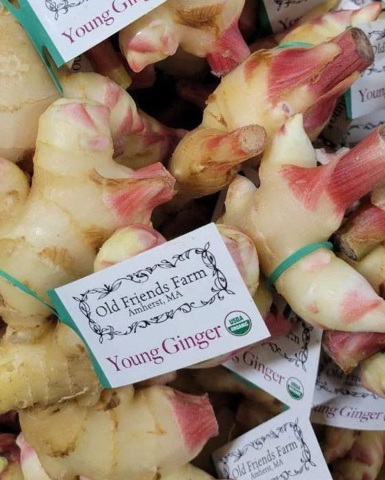 Fresh, young ginger is here from @oldfriendsfarm! &quot;It's beautiful, and they pioneered local, organic ginger in the region&quot; - Caroline.  Their young ginger has no skin, a milder, sweet flavor, and less fibrous texture than the mature root. P