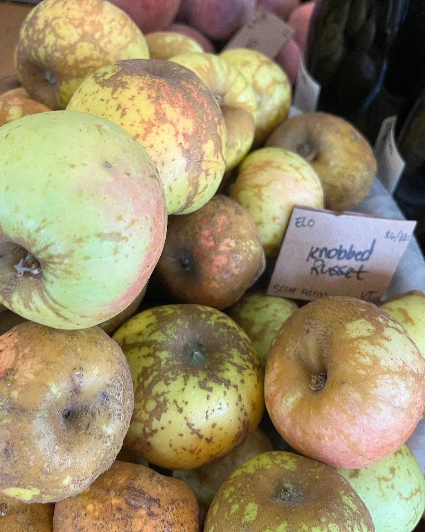 Yes! This is how Knobbed Russet apples look! Just in time for Halloween, these bumpy, green-orange apples should be loved for their looks. Under their wild skin is a flavor that is &quot;remarkably smooth as sherry and nutty-crisp but not crunchy. 'L