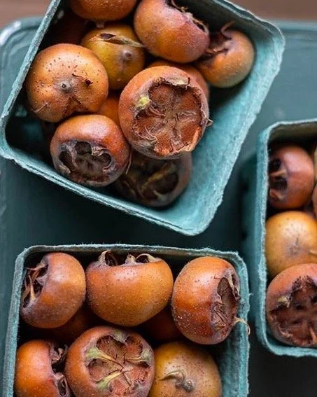 They're back! We're not playing favorites, but medlars are definitely one of the coolest items on our list. They're not the easiest fruits to prep: Fresh off the tree they have a tough exterior, but after &quot;bletting&quot; (aka storage that lets t