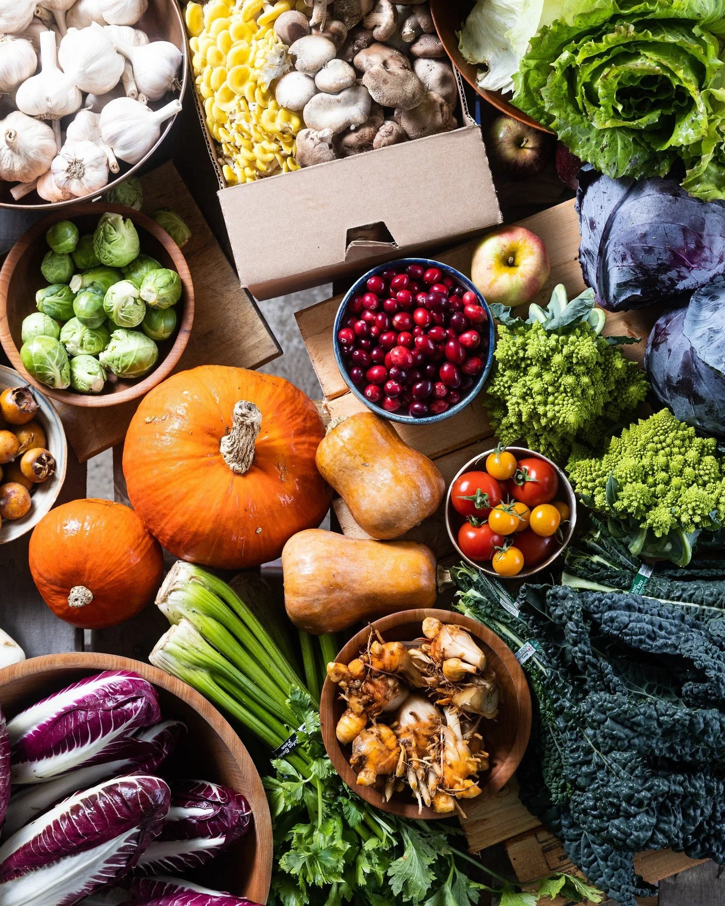 Thanksgiving supplies are on the list! Check out the &quot;Stock up for Holiday&quot; tab for everything a person might need for their Thanksgiving dinner (and more!) Turkey, affordable storage crops, sour cream, plus paperwhite bulbs to add a little