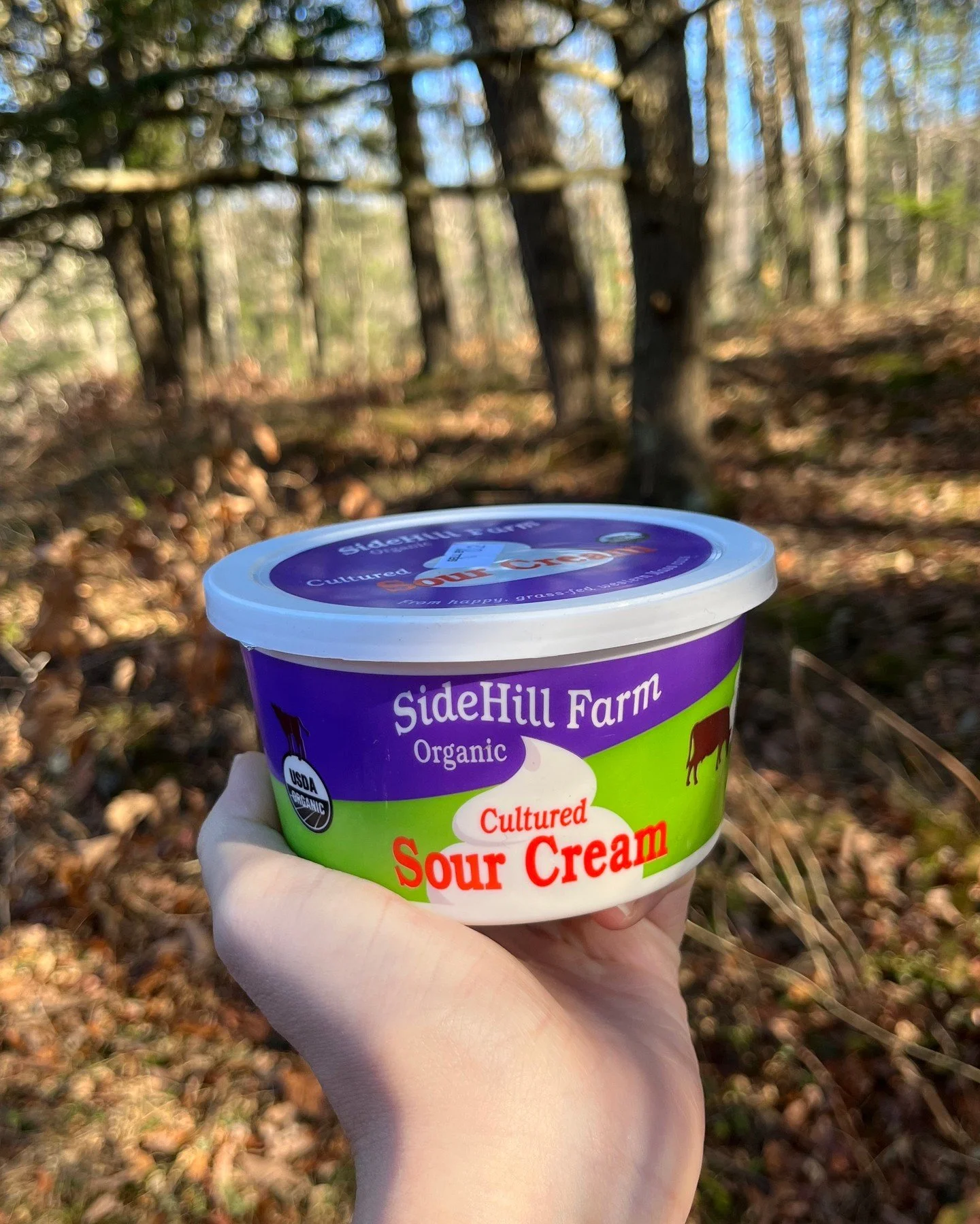 Last chance for pre-Thanksgiving dairy! 🥛🧀 Get your orders in Thursday for delivery next week. Check out our latest dairy email for first time promos and holiday discounts. It's not a holiday without @vtmillerfarm creamline milk, Sidehill sour crea