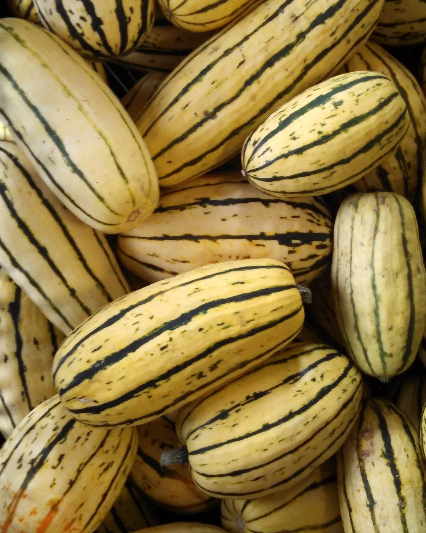 Today's last minute list is a special one - we are offering some ✨DEEP DEALS✨ for this last delivery of the year! The list is hitting inboxes now, so dive in for end-of-year pricing on beautiful @hepworthfarms potatoes, winter-foraged Vermont wreaths