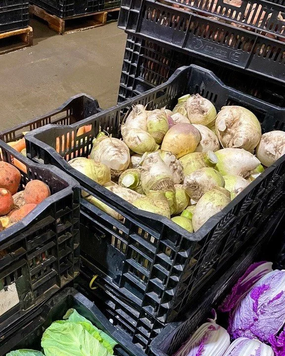 Vermont's own heirloom state vegetable is on the list: Gilfeather Turnips! Gilfeathers were first grown by Wardsboro farmer John Gilfeather in the early 1900s. John was so protective of his crop that he hand-shaved the roots and cut the tops off ever