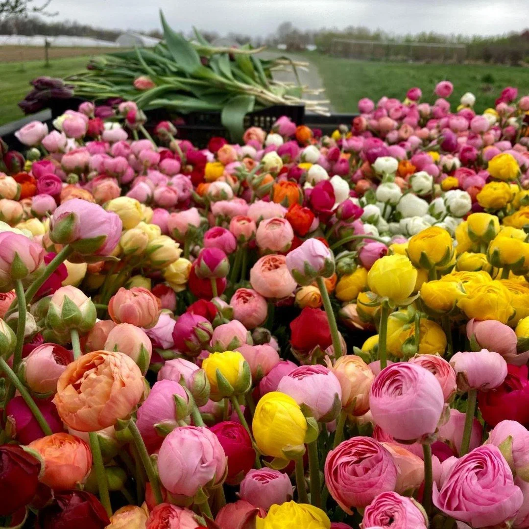We don't always have flowers in time for Mother's Day... but this year we definitely do!!! 💐

Ranunculus, tulips, lilies, designer DIY buckets (!!), quince &amp; peach branches (yes please?), and more from our friends at  @oldfriendsfarm @many_grace