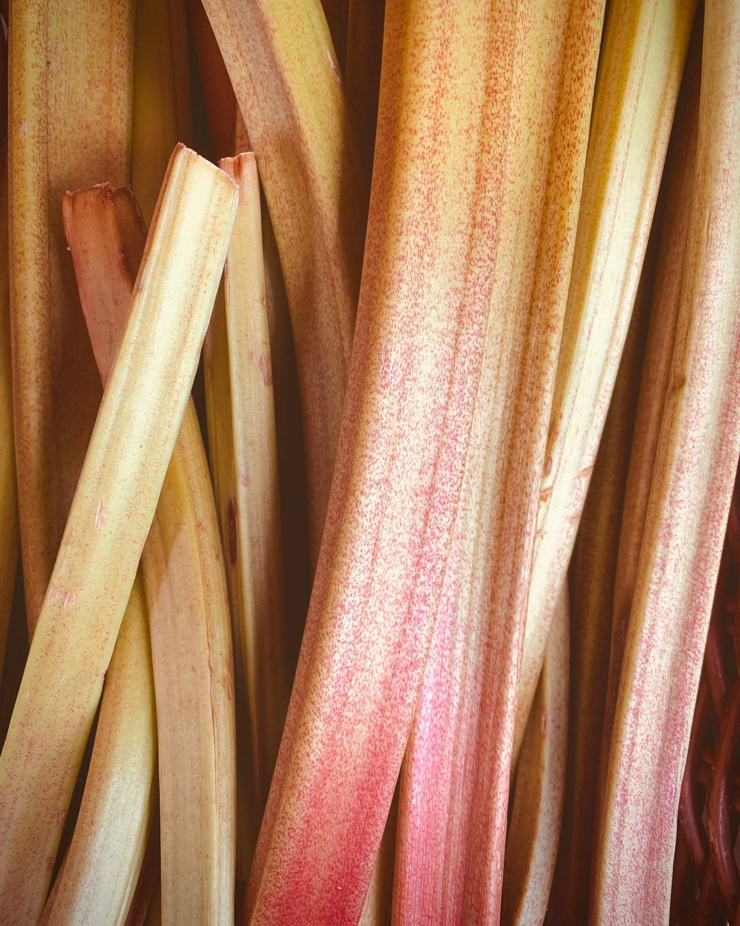 Rhubarb is one of the great underrated spring ingredients. Tart and punchy on its own, it transforms into something incredible when cooked. Plus, it's pretty low maintenance to grow. As the team at Chamutka Farm puts it, "It really doesn&rsquo;t