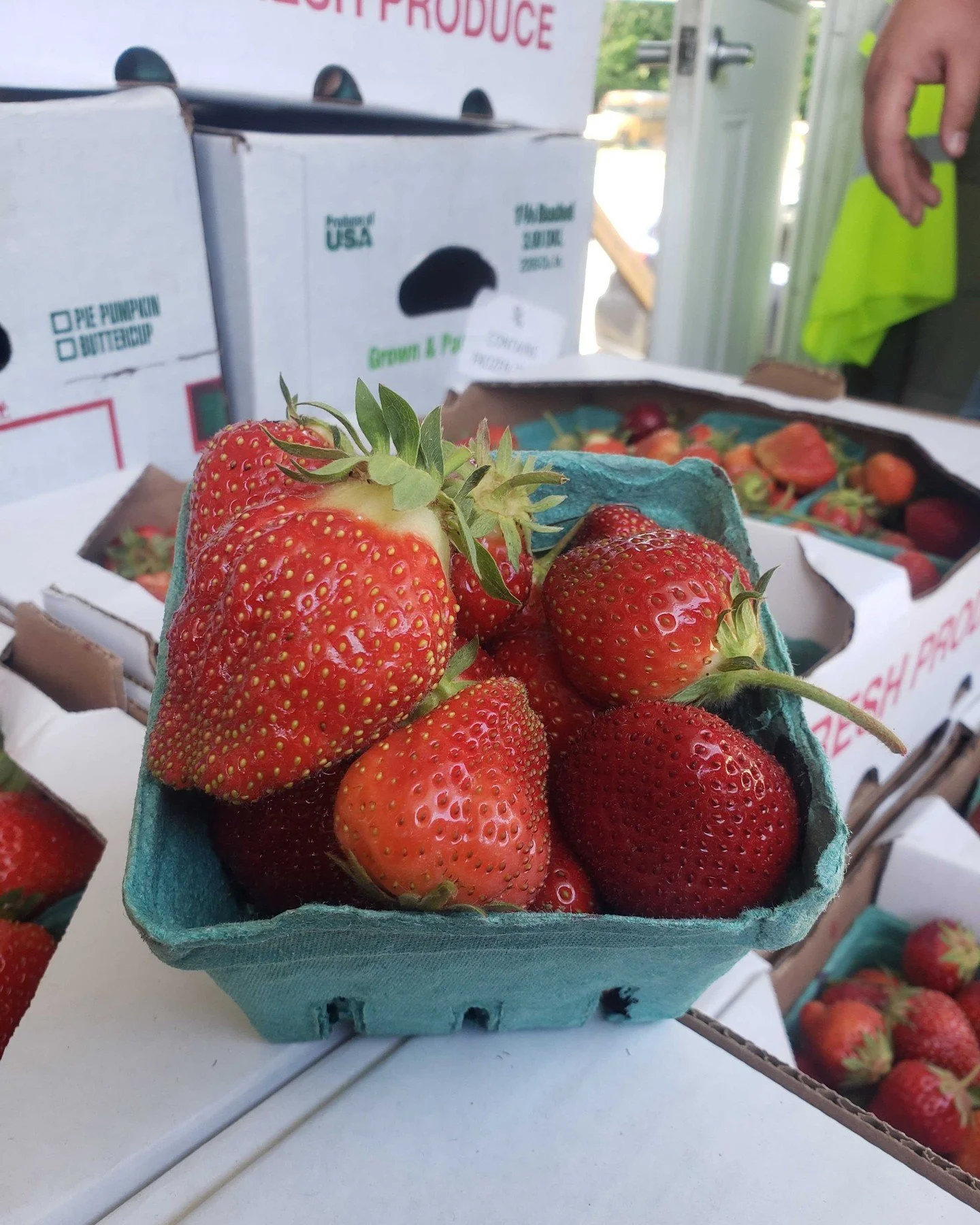 It's that time! 🍓🚨🍓🚨 Local strawberries are here, coming in from @pellfamilyfarm in CT. The season starts now!