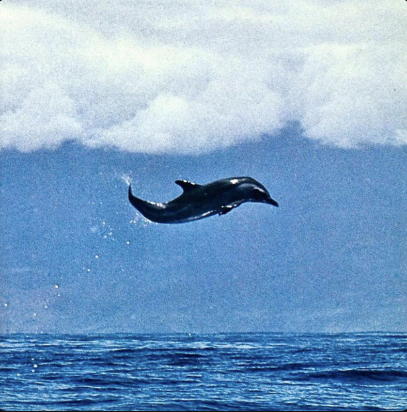 Screen Shot 2024-10-21 at 6.56.32 PM.png