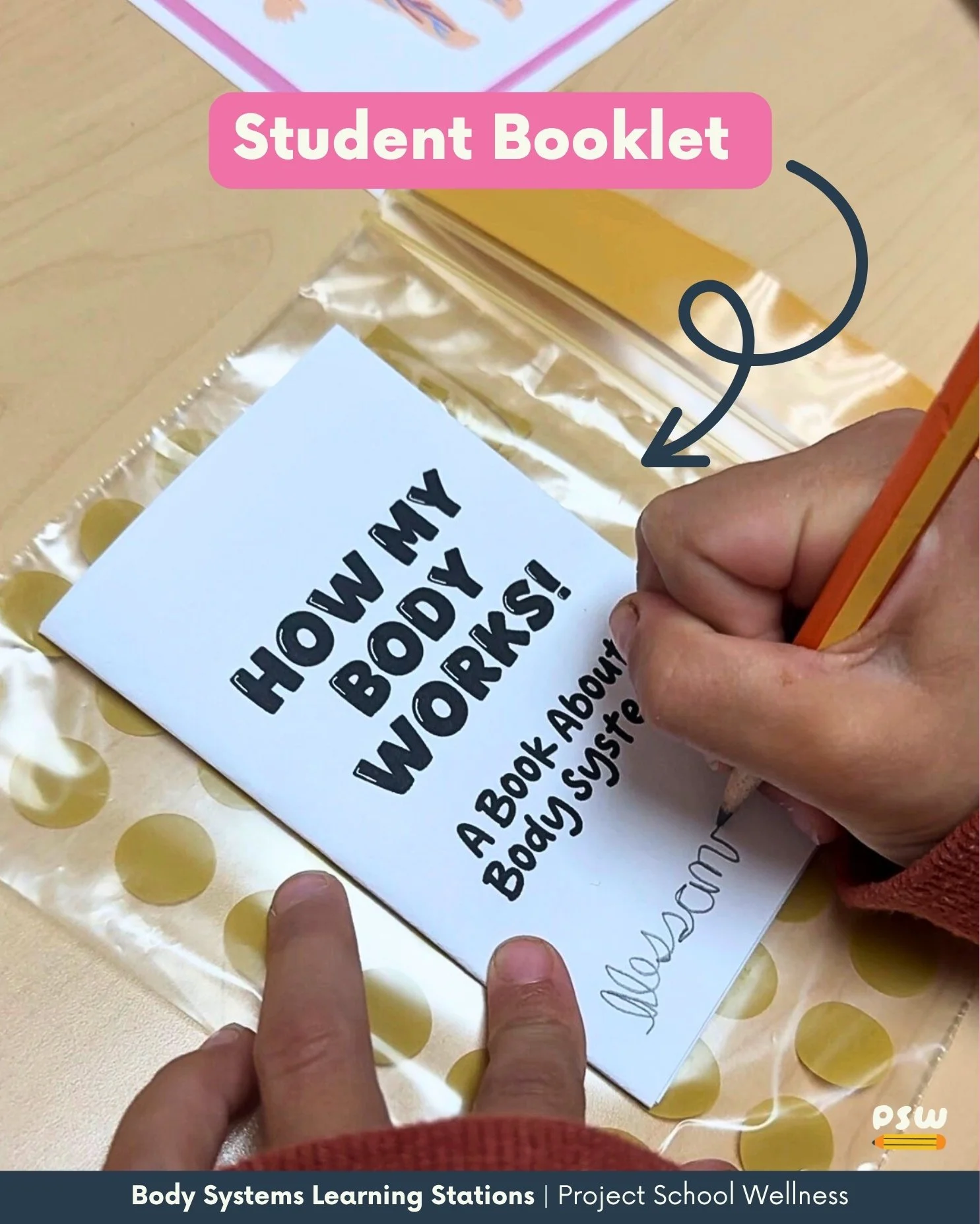 Body Systems Learning Station elementary health activity project school wellness