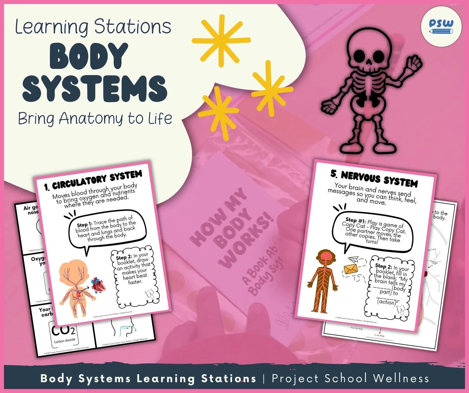 Body Systems Learning Stations for elementary health project school wellness
